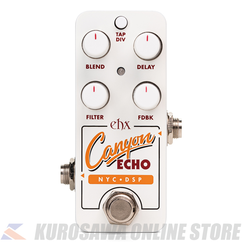 Electro-Harmonix PICO CANYON ECHO [Digital Delay](ご予約受付中
