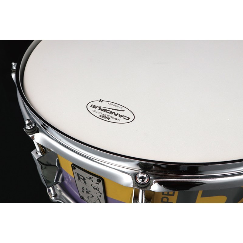CANOPUS CPSL-14DR16 [ビンテージスネアワイヤー ドライタイプ 16本線] 通販