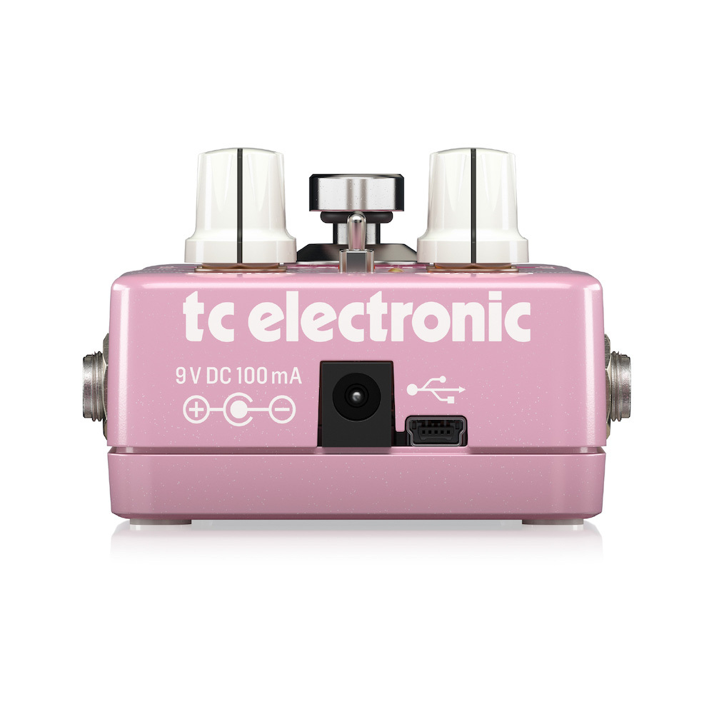 tc electronic Brainwaves Pitch Shifter《ピッチシフター》【WEB