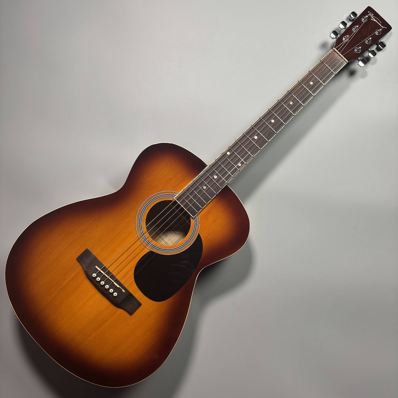 VANGUARD VFG-01（中古）【楽器検索デジマート】