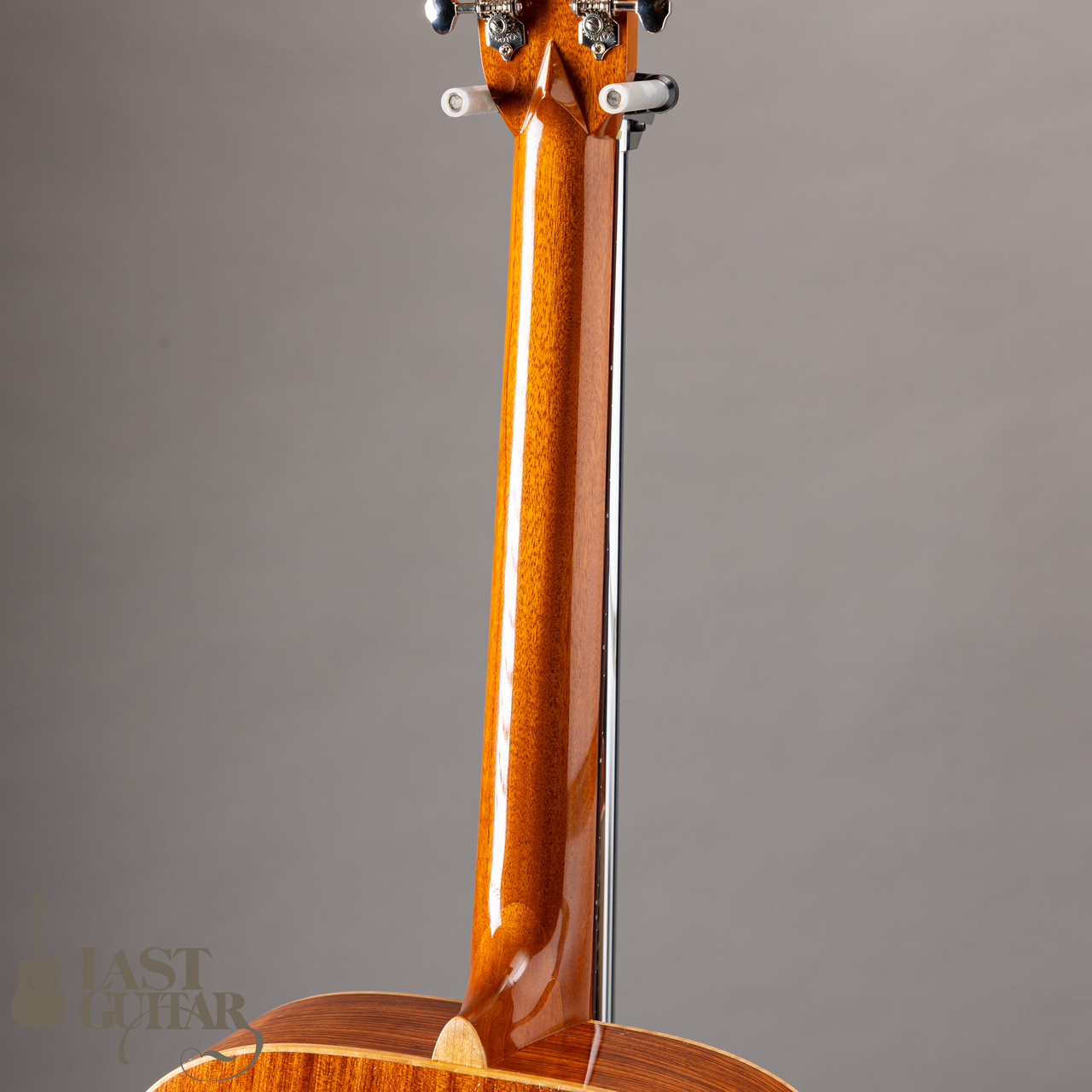 IWANEKO GUITARS Type-MS Simple Style German Spruce Top（新品