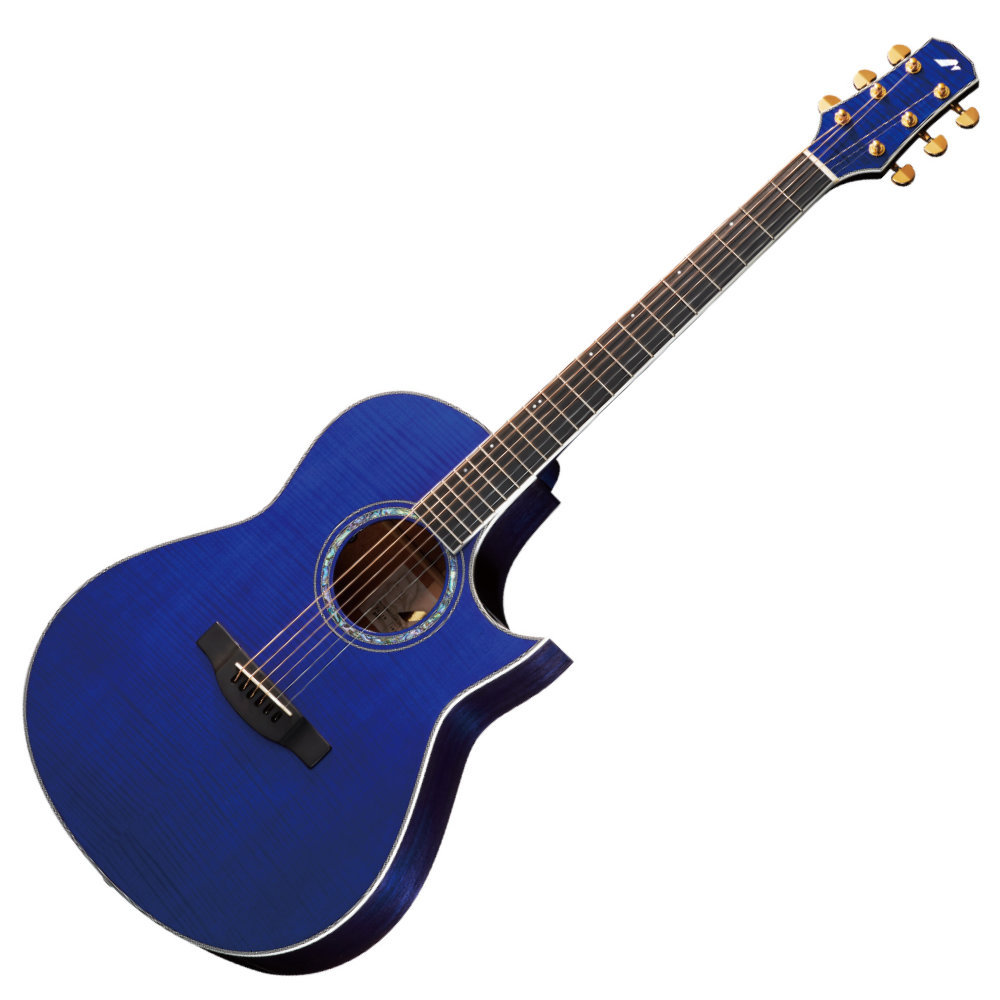 新作入荷SALEMorris S-20 アコースティックギター エレアコ ギター