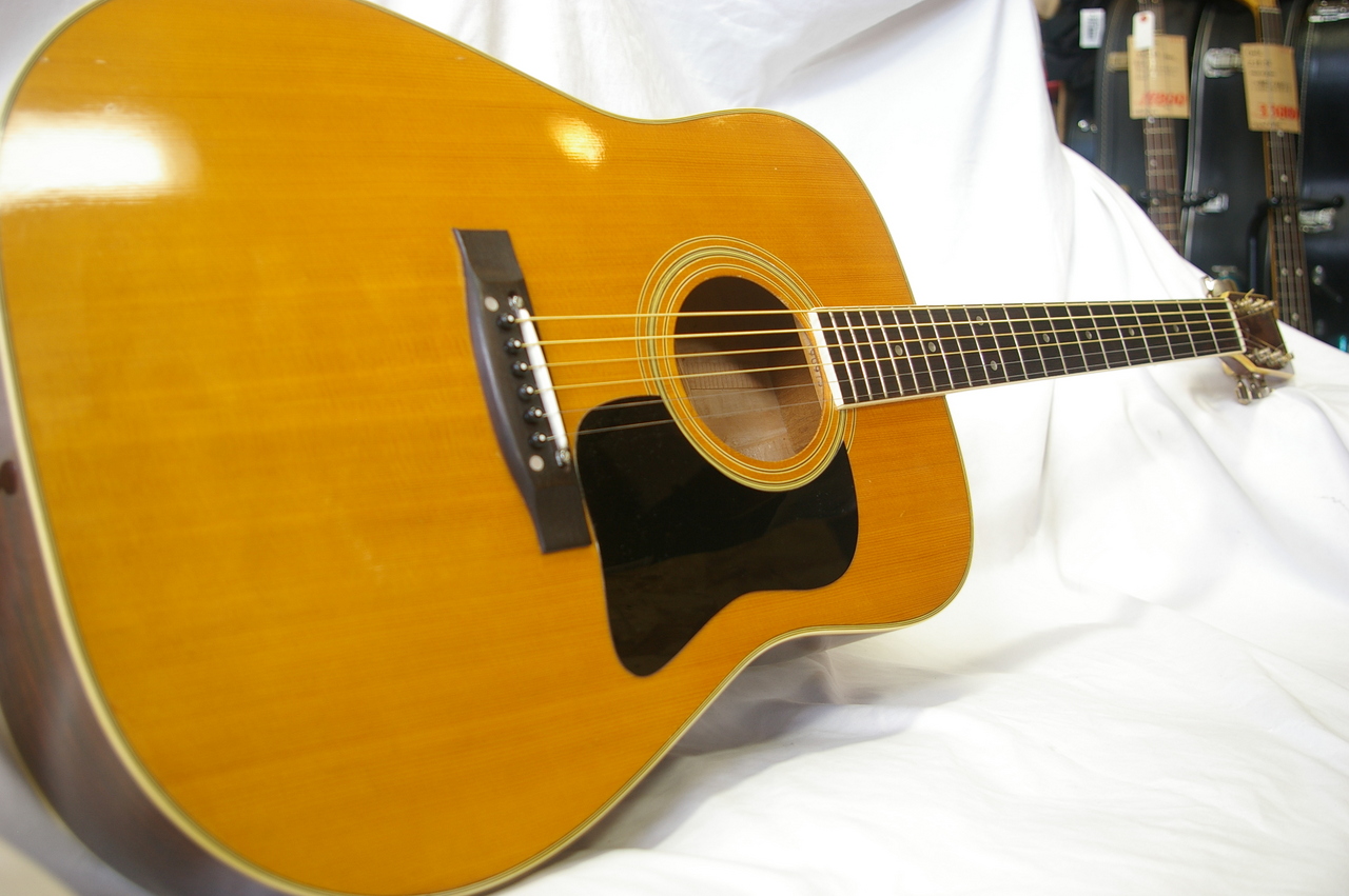 Favilla Guitars Aquila（中古）【楽器検索デジマート】