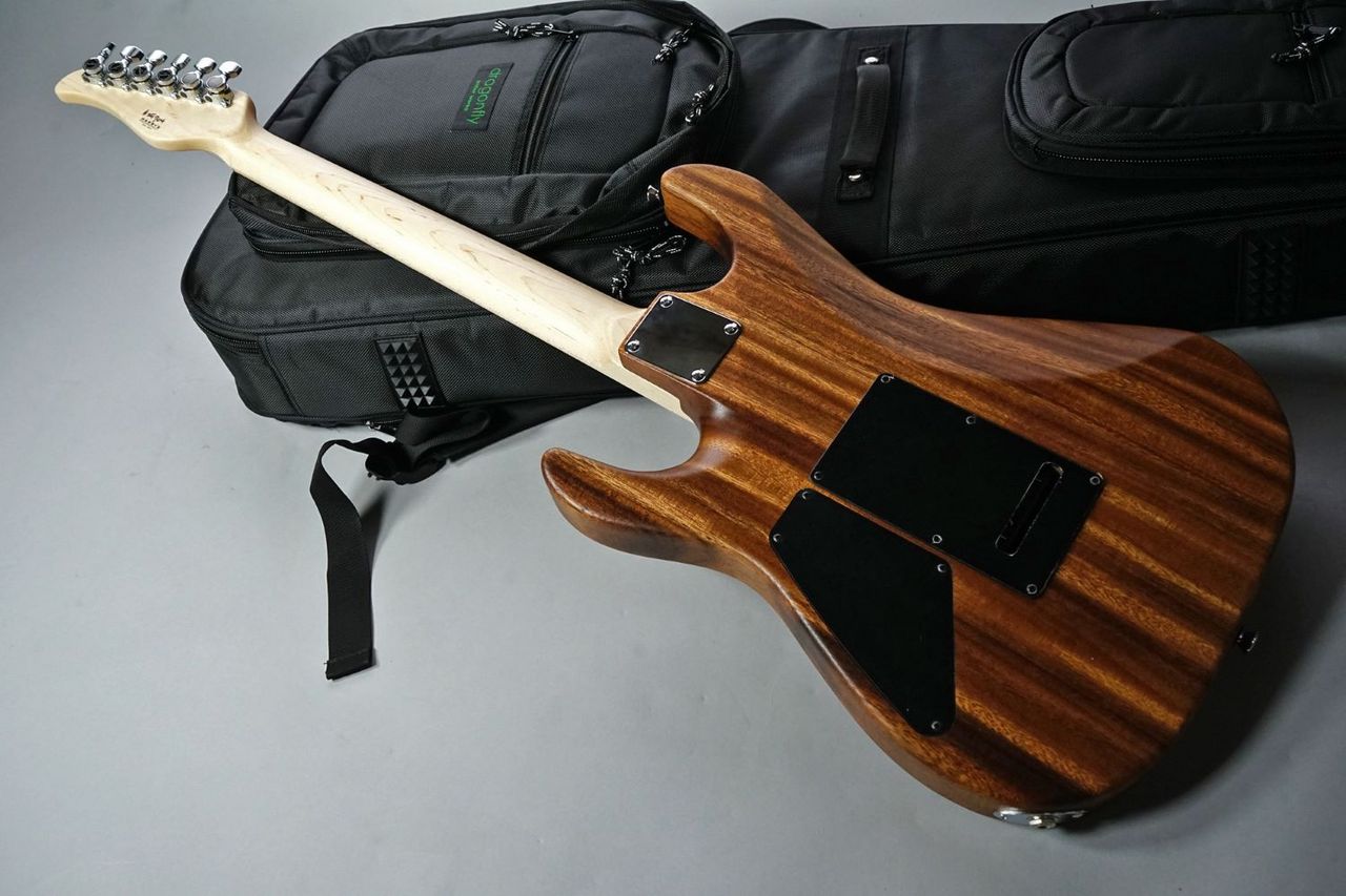 dragonfly CL-HST DM SSH Monkey Pod/Maple【限定モデル】（新品/送料