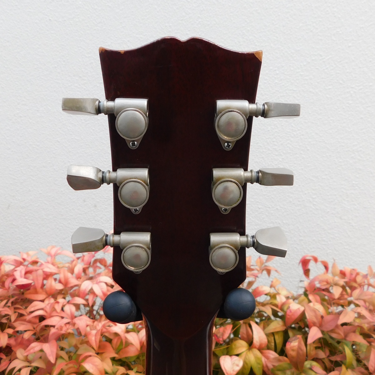 Burny BJ-60（中古）【楽器検索デジマート】