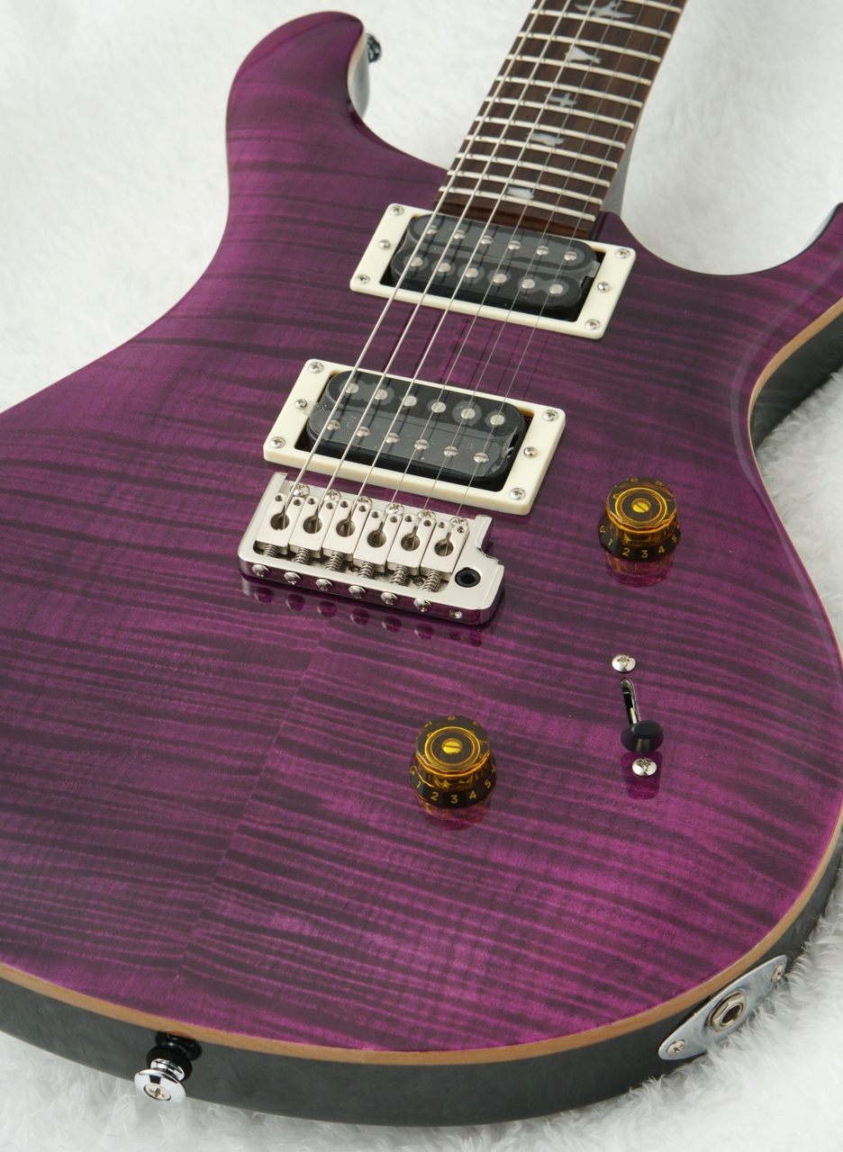 PRS Paul Reed Smith SE CUSTOM 本日まで Paul Reed Smith(PRS)特集】 当店で展示しているエレキギター｜島村