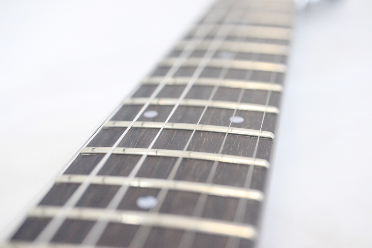 FERNANDES APG-160（中古）【楽器検索デジマート】