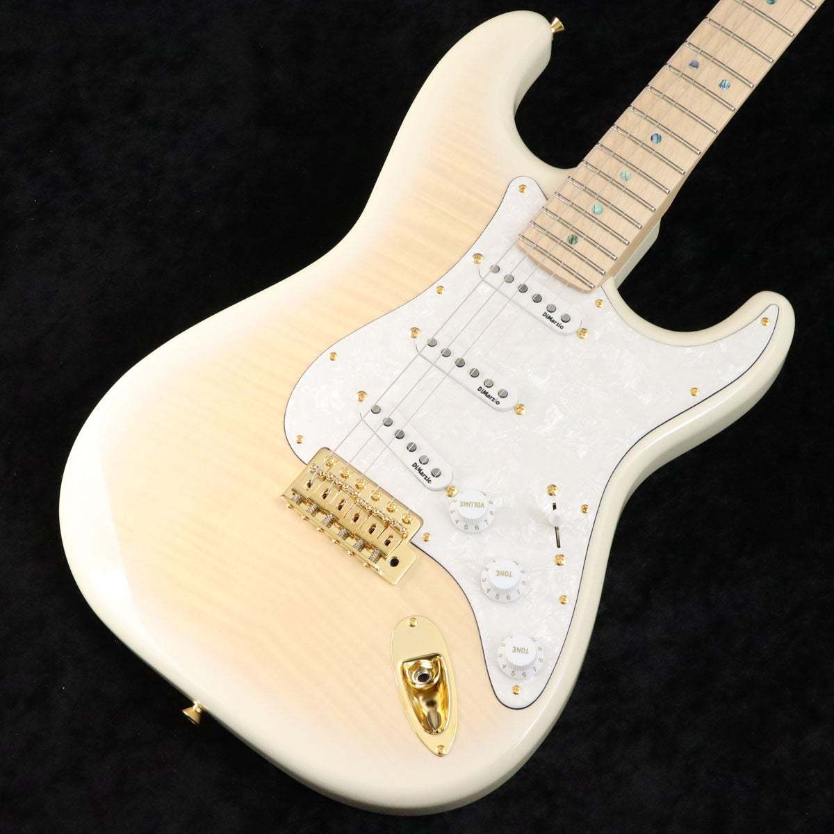 Fender Japan Exclusive Richie Kotzen Stratocaster See-Through