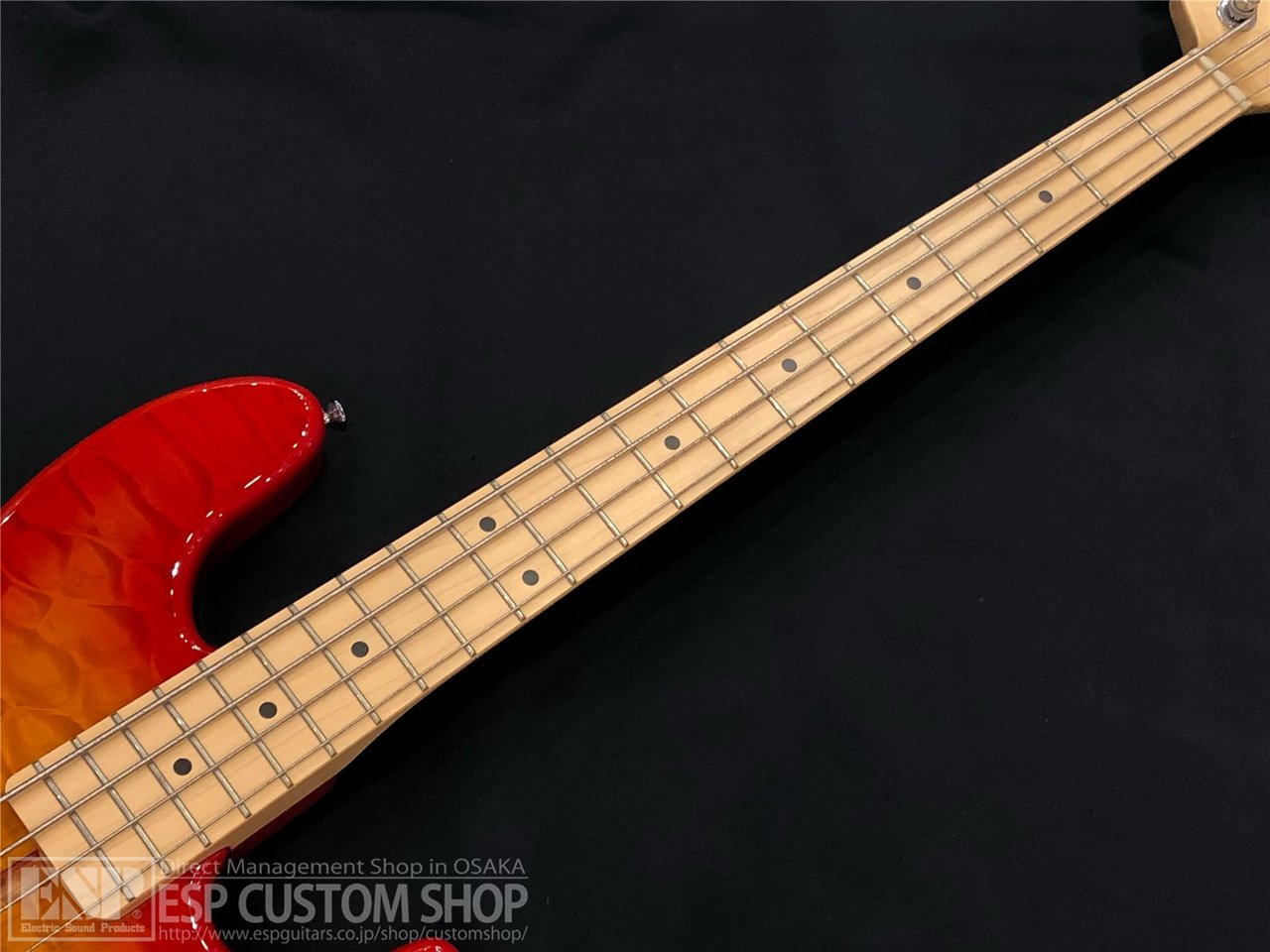 SCHECTER CB-I-CTM CHSB（新品/送料無料）【楽器検索デジマート】