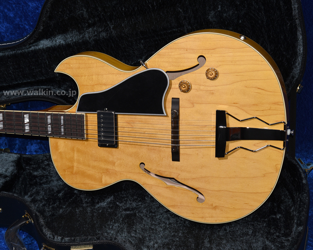 セミアコ　ARCHTOP Tribute ゴールド セミアコ ARCHTOP Tribute ゴールド セミアコ ARCHTOP Tribute