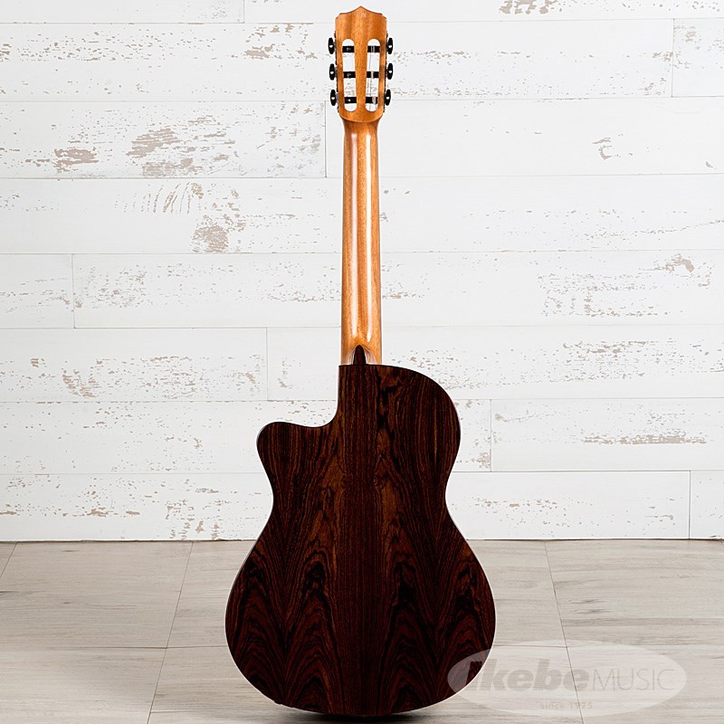 Cordoba Fusion5 limited Bocote 【お取り寄せ】（新品）【楽器検索