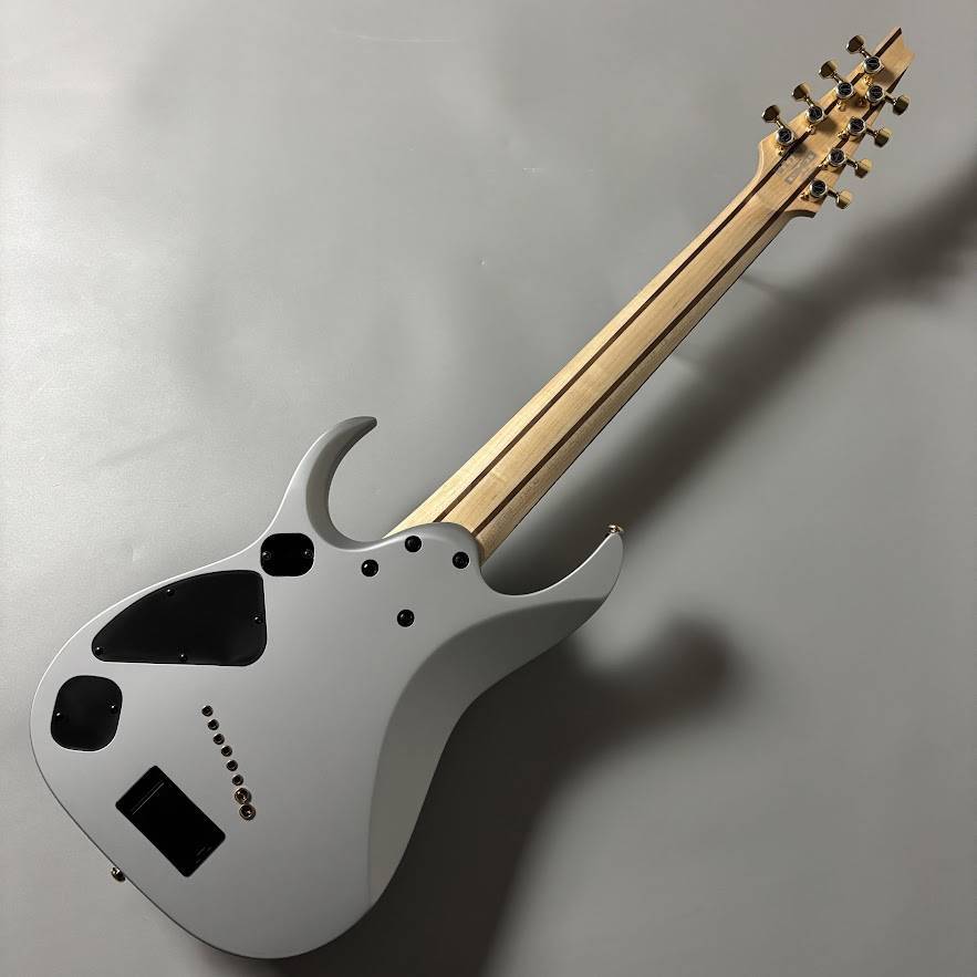 Ibanez RGDMS8 CSM エレキギター 8弦（新品/送料無料）【楽器検索