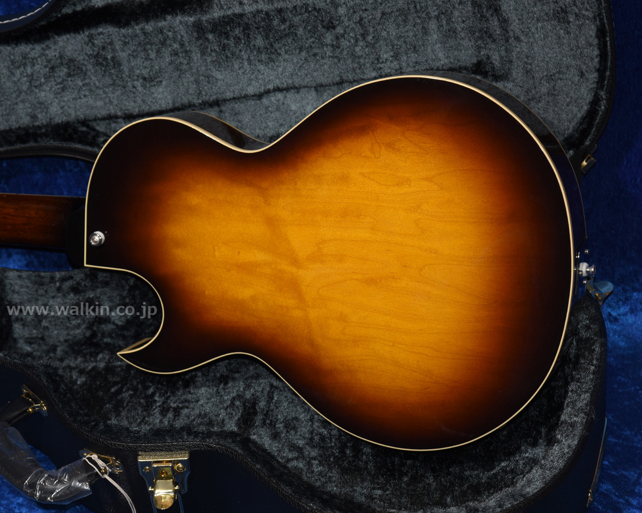 Archtop Tribute AT105 Jr. Classic（新品）【楽器検索デジマート】