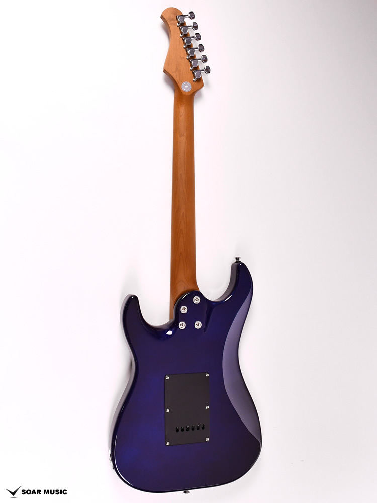 Bacchus GS-2DX RSM/M IPM 初心者セット（新品/送料無料）【楽器