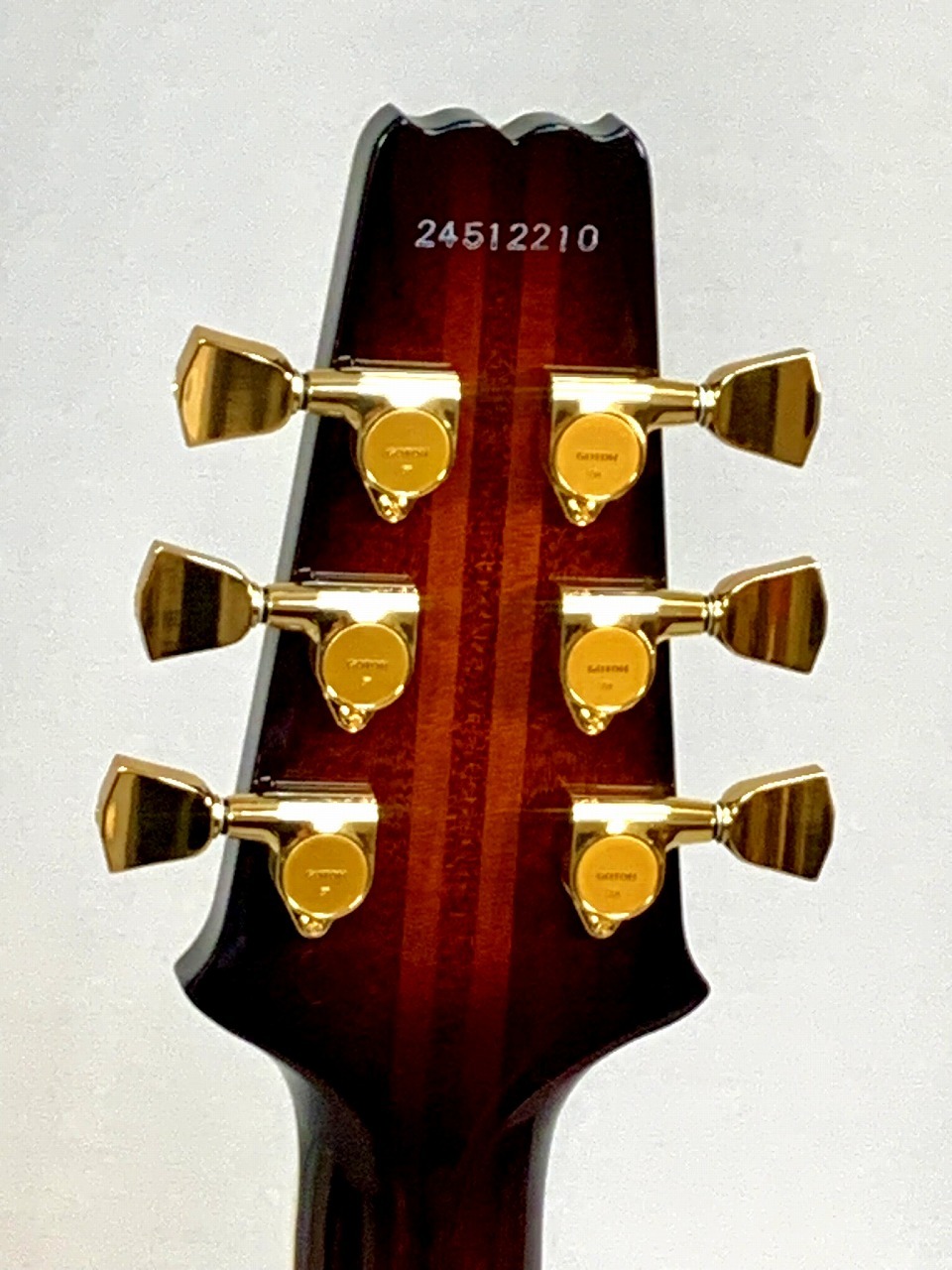 Aria Pro II PE-R100 SA(Smoky Amber)（新品）【楽器検索
