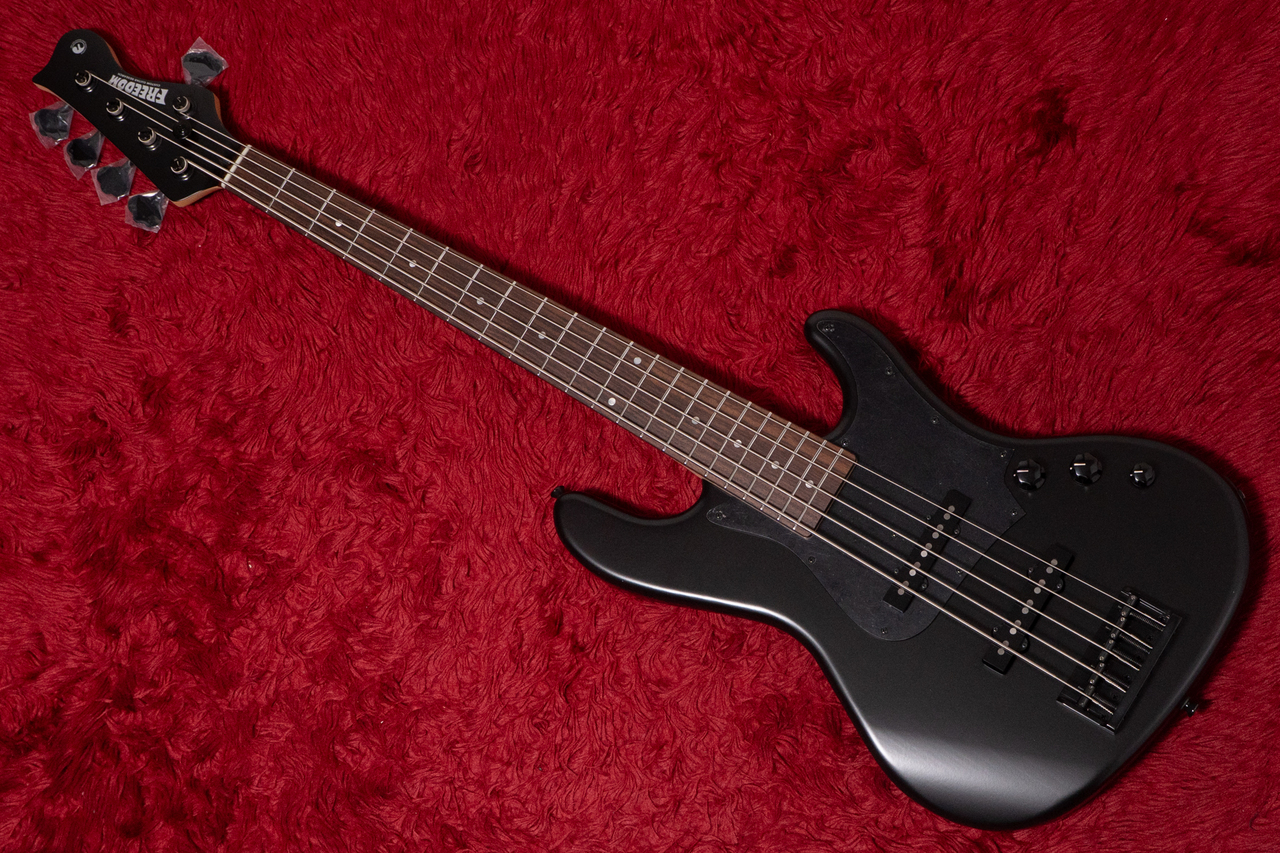 FREEDOM CUSTOM GUITAR RESEARCH C.S. Anthra 5st SDB MH 4.400kg