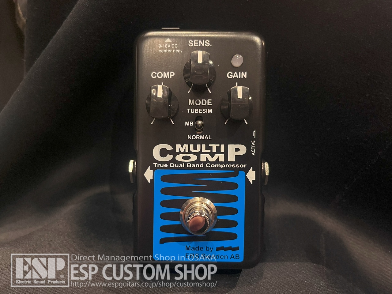 EBS MultiComp BlueLabel（新品/送料無料）【楽器検索デジマート】