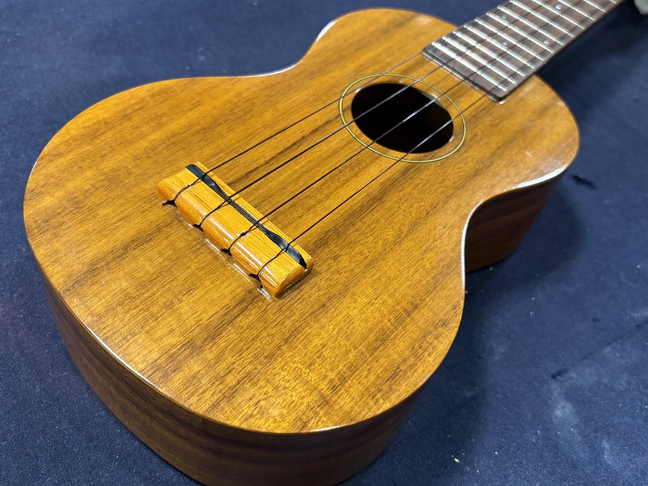 Famous FS-5 USED【送料無料/即納可能】（中古/送料無料）【楽器検索