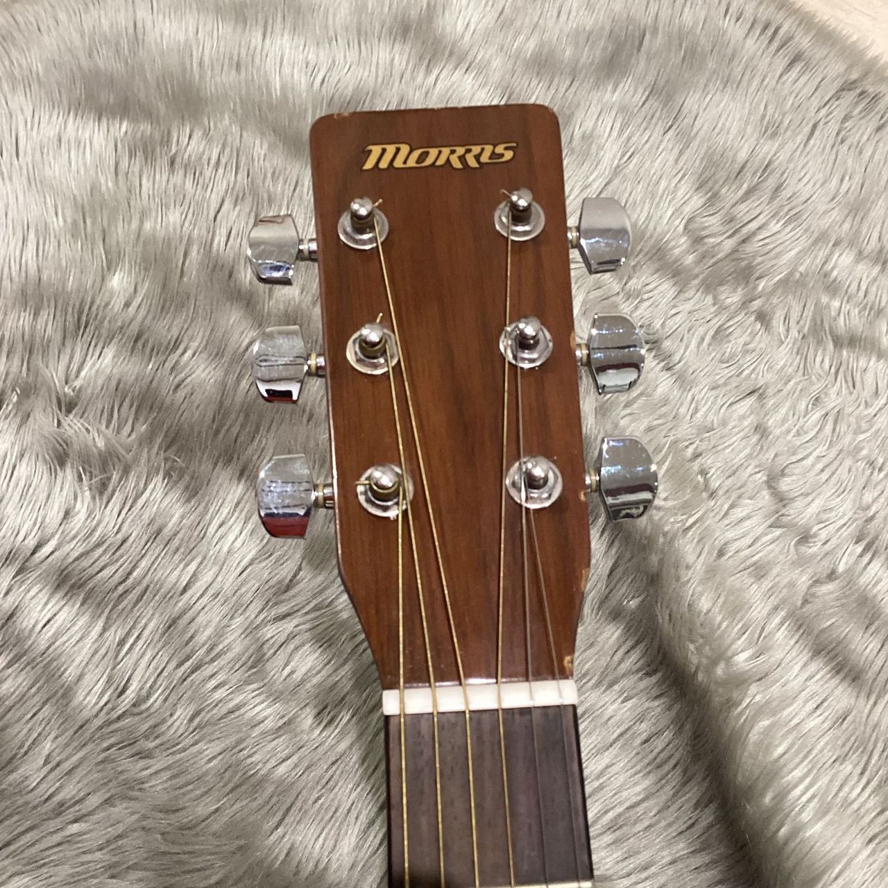 Morris MD256（中古/送料無料）【楽器検索デジマート】