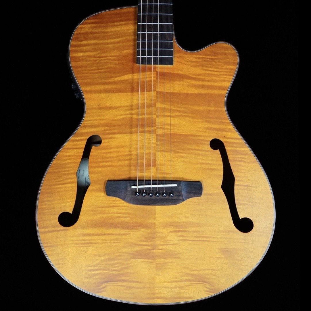 ARIA FET-F2 Satin Brown エレアコ（中古/送料無料）【楽器検索