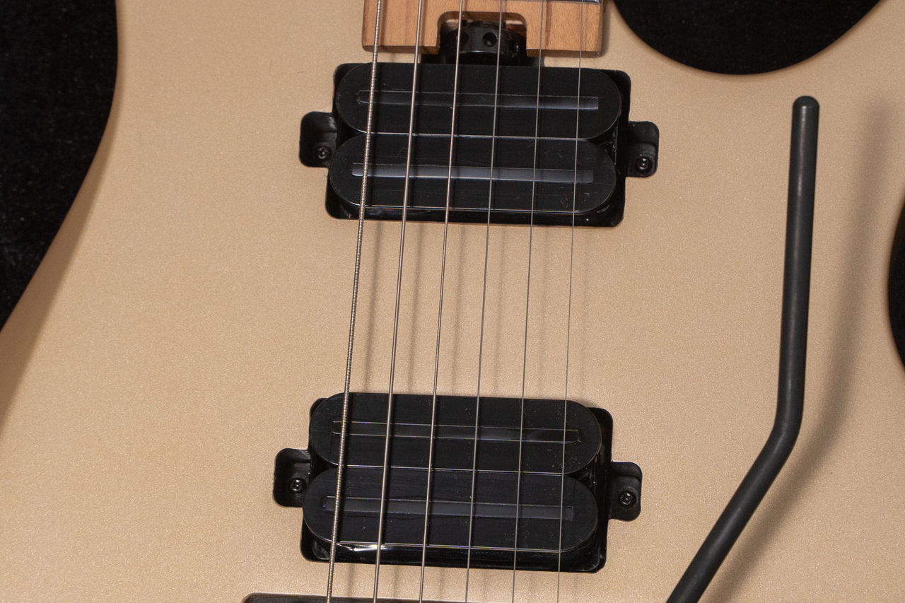 HEX Guitars N500P S/SS（新品/送料無料）【楽器検索デジマート】