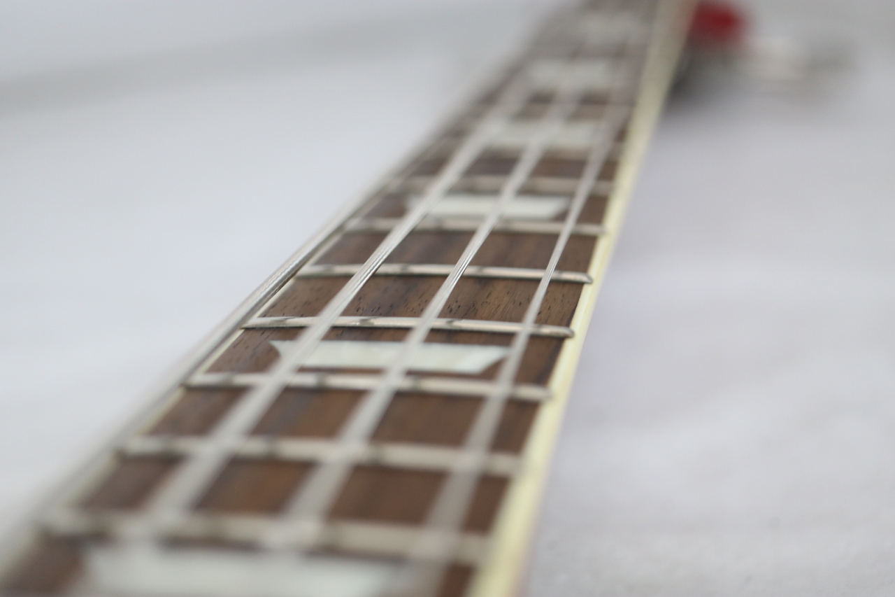 Burny SBEB-65（中古）【楽器検索デジマート】