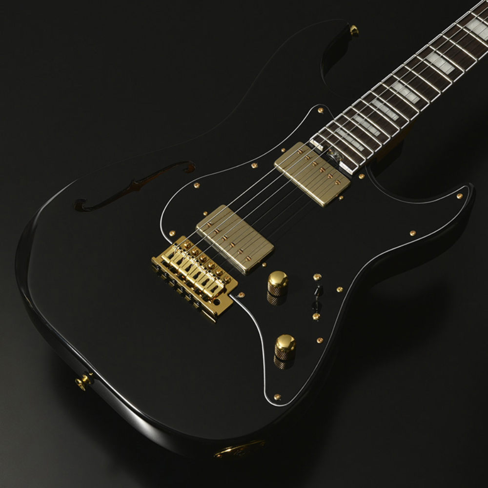 Bacchus バッカス Global Series GS-HOLLOW-CTM BLK エレキギター