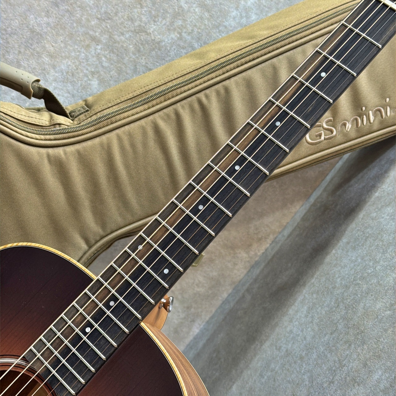 Taylor 【試奏動画あり】GS Mini-e Rosewood SB #2201075408【小ぶり