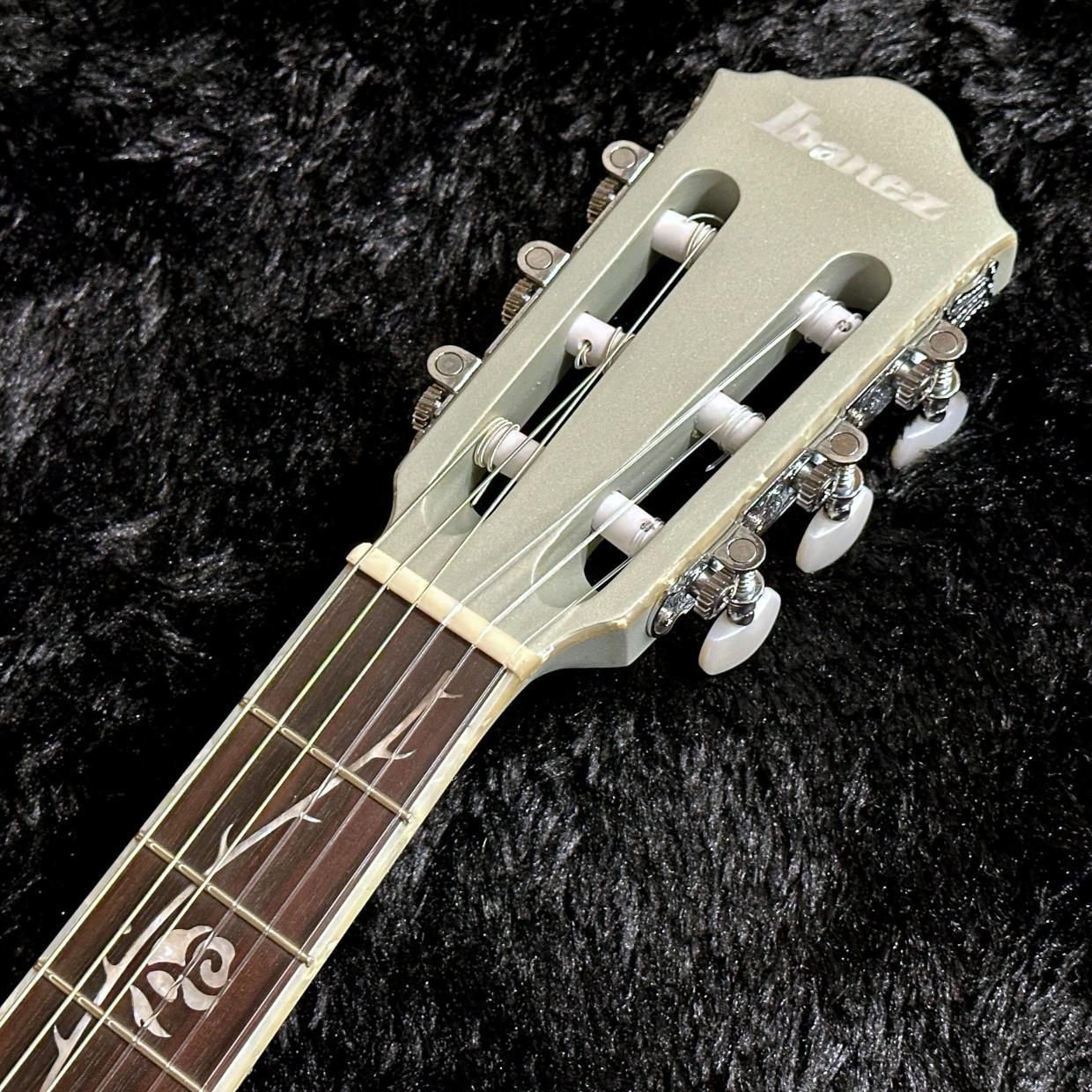 Ibanez TOD10N-SMF (Silver Metallic Flat) Tim Henson Signature