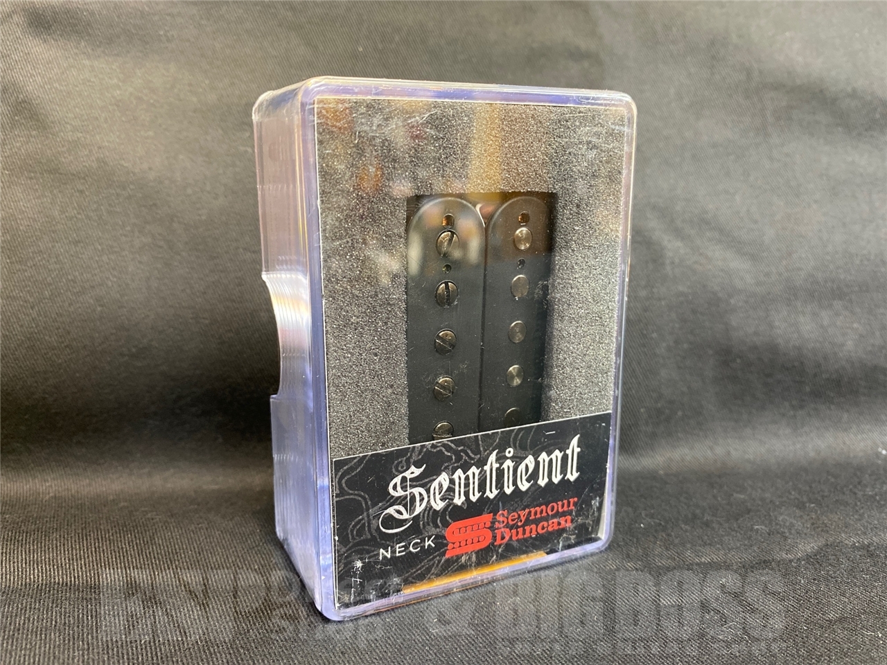 Seymour Duncan SENTIENT-6 SENTIENT【Matt Black/NECK】（新品