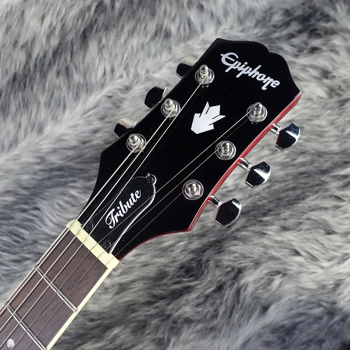 Epiphone SG Tribute Cherry（新品）【楽器検索デジマート】