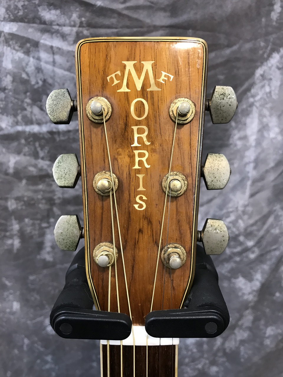 Morris TF-801（中古）【楽器検索デジマート】