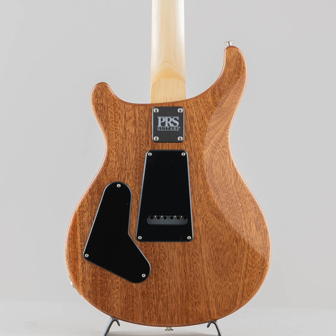 Paul Reed Smith(PRS) CE24 Semi Hollow Amber（新品/送料無料）【楽器 