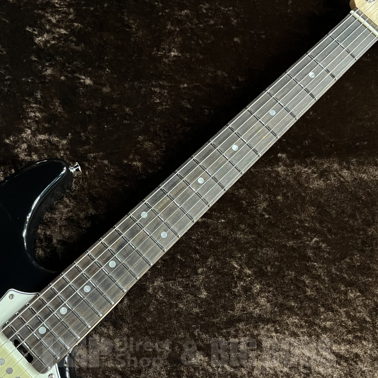 EDWARDS E-SNAPPER-AL/R【Black】（新品/送料無料）【楽器検索デジマート】