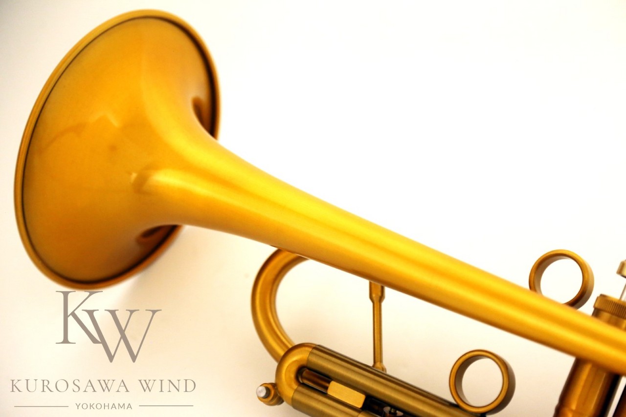 Taylor Chicago 46Ⅱ Standard 【新品/New】【テイラー