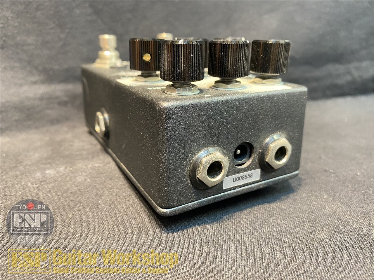 WALRUS AUDIO ARP-87 【Multifunction Delay】（新品/送料無料）【楽器