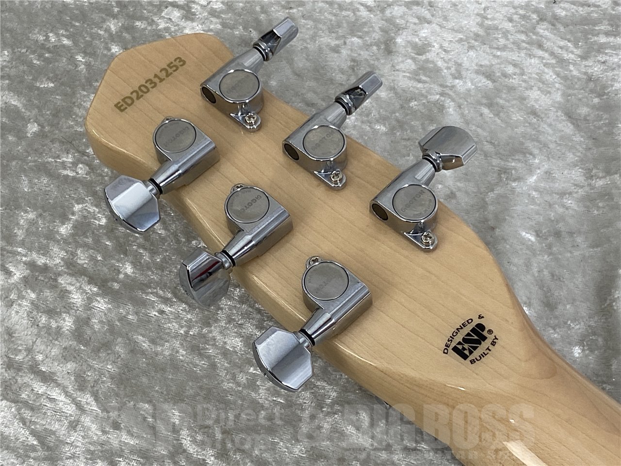 EDWARDS E-RS/M (Red) LOUDNESS 高崎晃モデル （新品/送料無料）【楽器