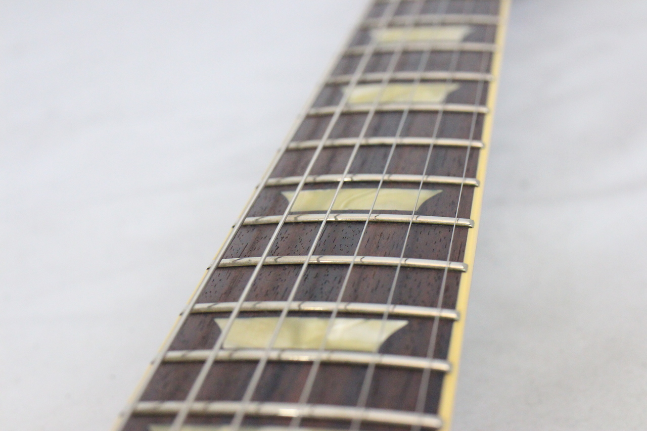 Bacchus BSG-68V SG ラージピックガード 初期 シリアル無し Bacchus BSG-68V SG ラージピックガード 初期 シリアル無し