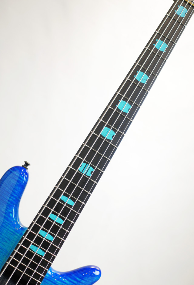 Spector Custom Shop NS-5 FM/PM M/EB EMG PJ HPBL（新品）【楽器検索