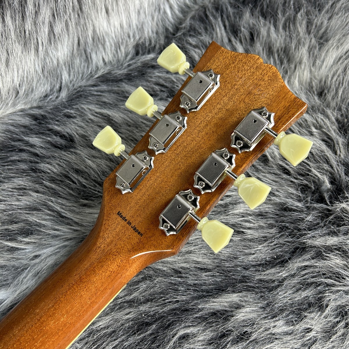 Tokai LS-101S-WA GT 【約3.9kg】 Tokai LS-101S/WA GT（新品/送料無料）【楽器検索デジマート】