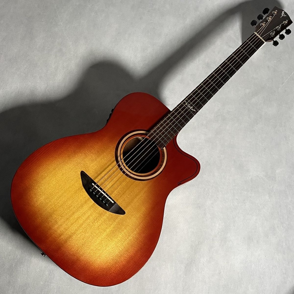 DreamComesTrue アコースティックギター - ギター