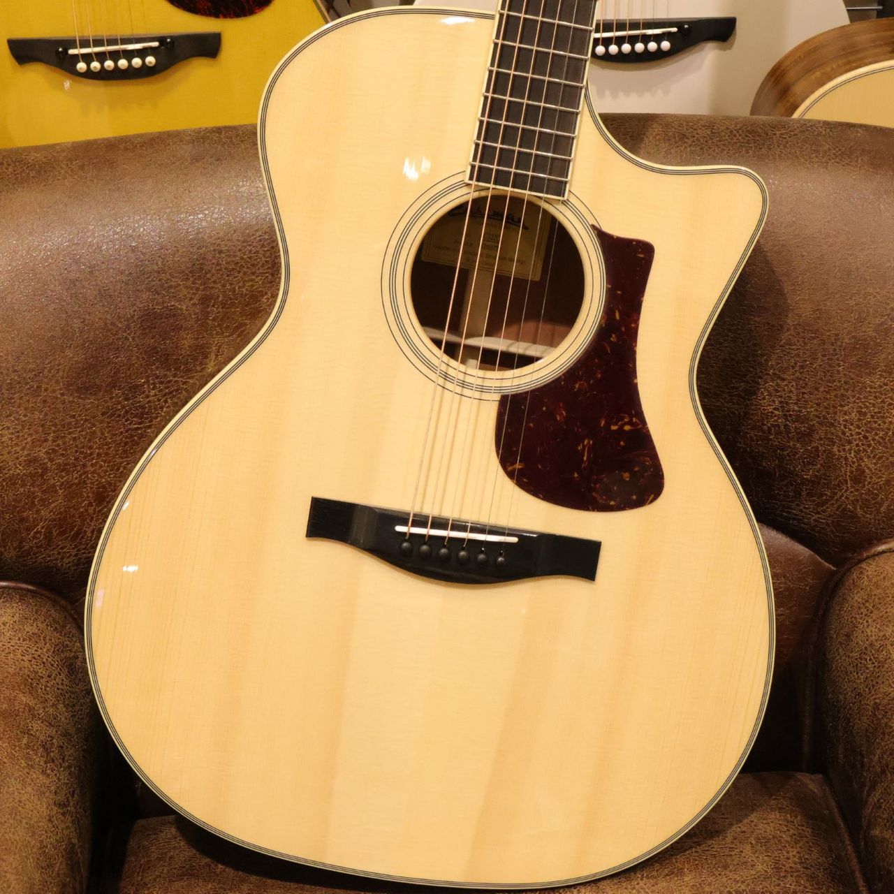 Eastman AC322CE エレアコ オール単板 L.R.Baggsピックアップ搭載