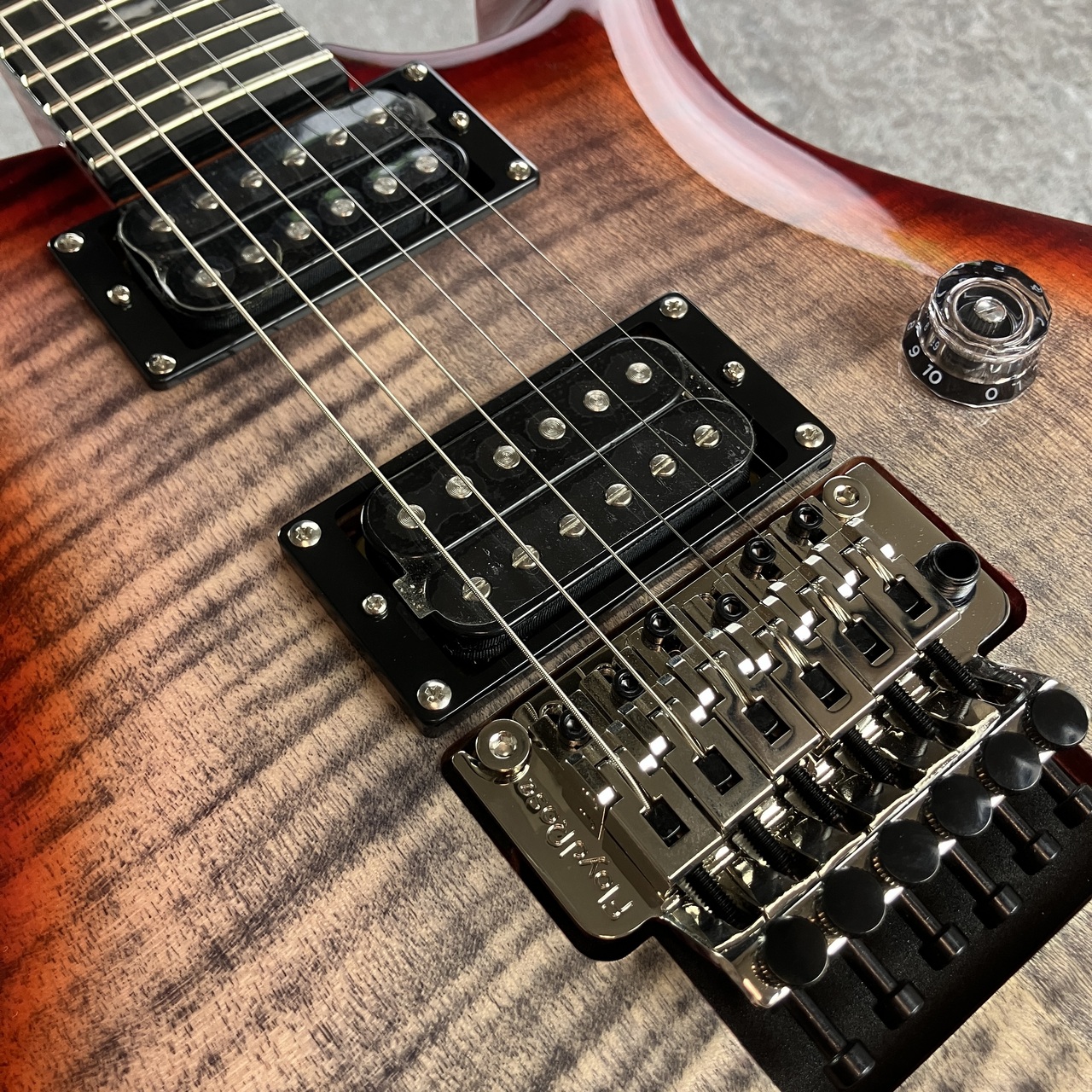 Paul Reed Smith(PRS) SE Custom 24 