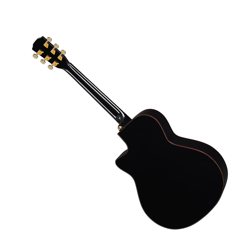 Morris MORRIS モーリス R-18 BLACK EDITION エレクトリック