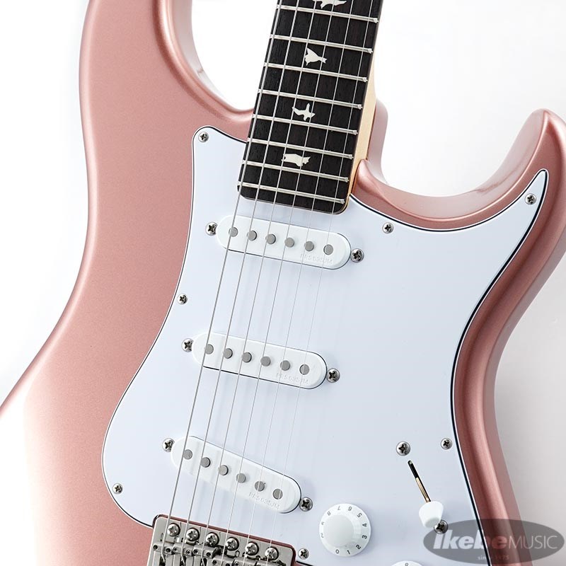 Paul Reed Smith(PRS) Silver Sky Midnight Rose / Rosewood