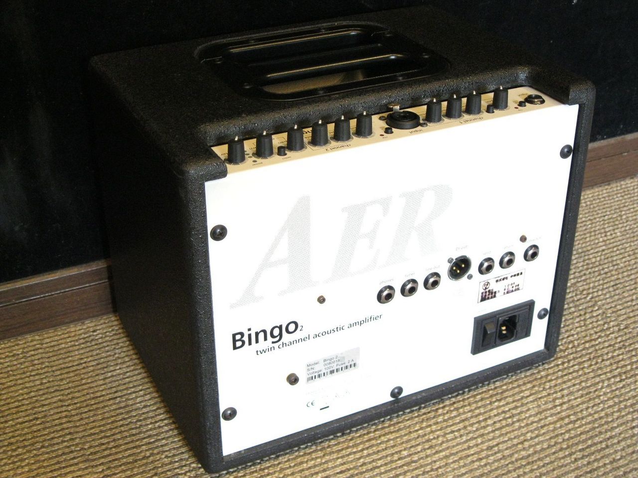 AER Bingo II / 60W Twin Channel Acoustic Amplifier（中古）【楽器 