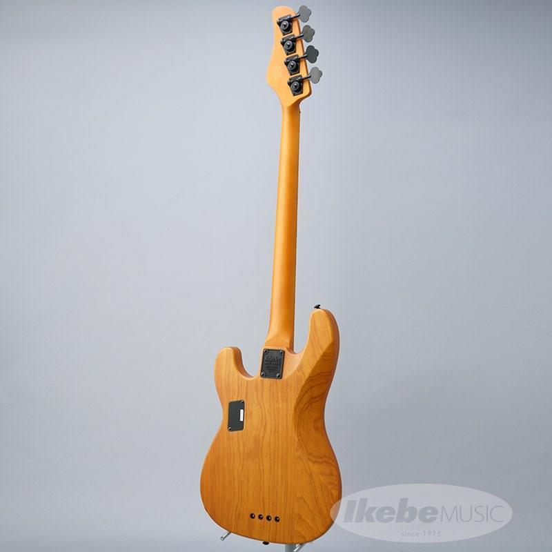 SCHECTER MODEL-T SESSION [AD-MT-SS] (ANS) 【特価】（B級特価