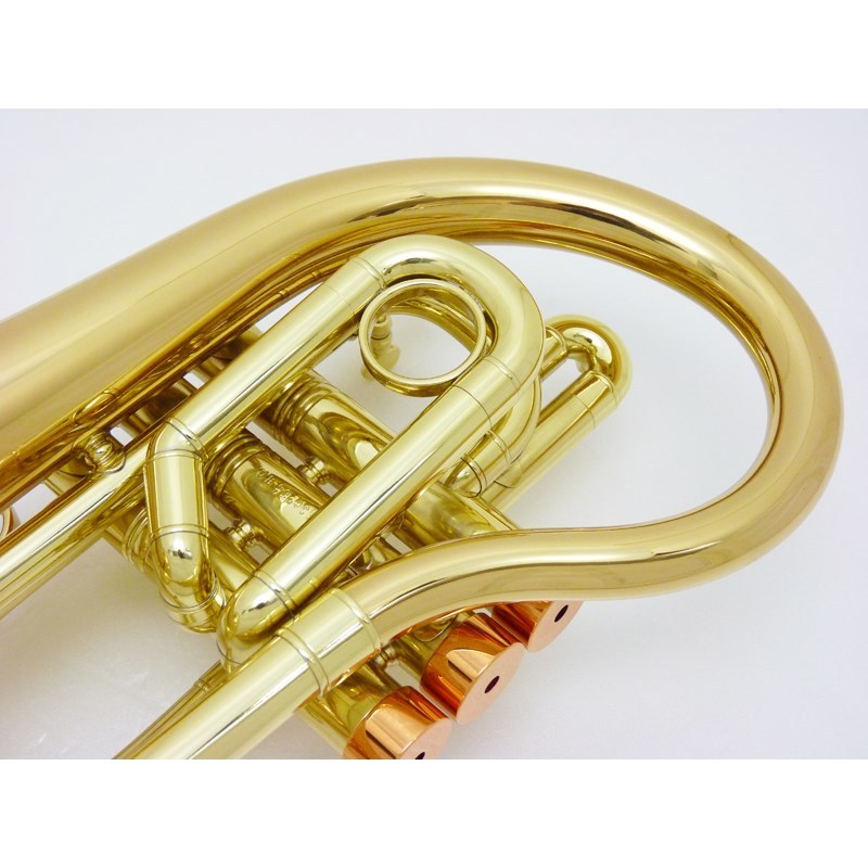 CarolBrass キャロルブラス / Taylor Phat Puppy CL 【Bb ポケット