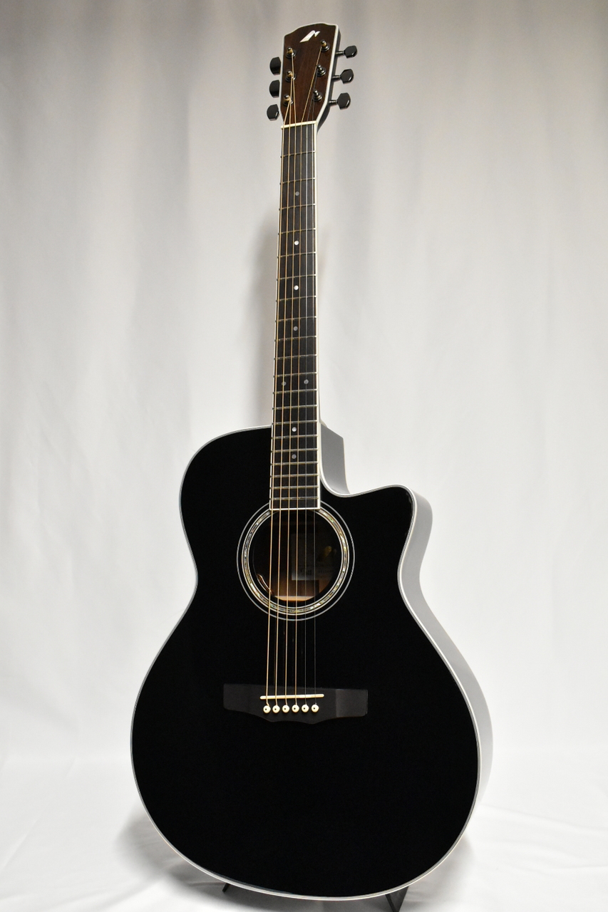 Morris R-14G BLK(ブラック) 【国産エレアコ】（新品特価） 決算セール