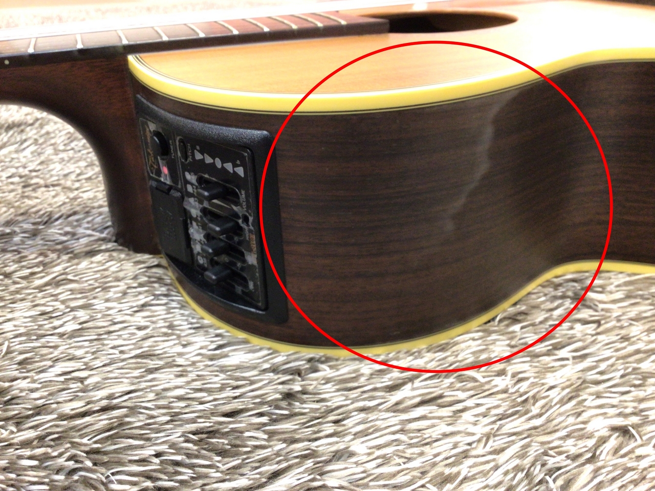 Takamine NPT-110N【USED】【純正ハードケース付き】（中古/送料